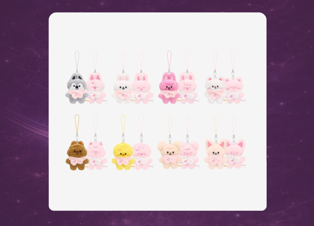 STAY in Our Little House: SKZOO Secret Plush Micro Version – Seoulsic