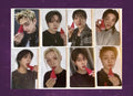 Stray Kids This&That POB (Fans)