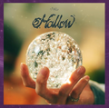 Stray Kids Hollow Album
