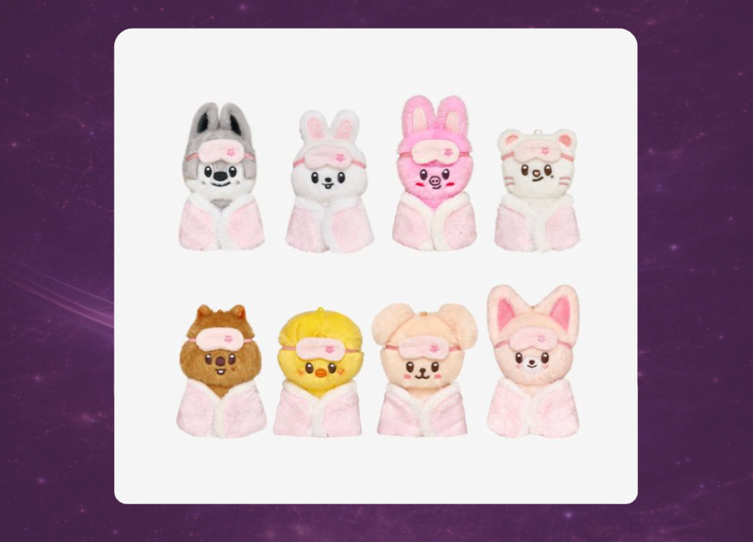 STAY in Our Little House: SKZOO Plush 10cm Version