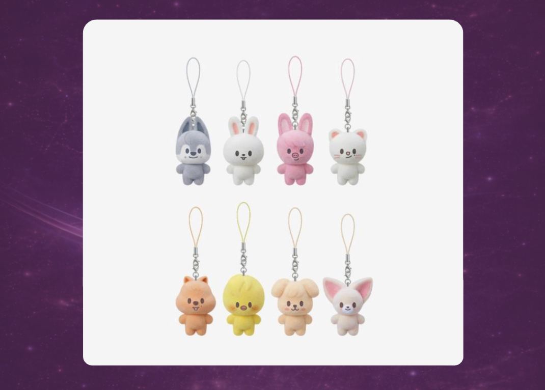 STAY in Our Little House: SKZOO Secret Mini Charm