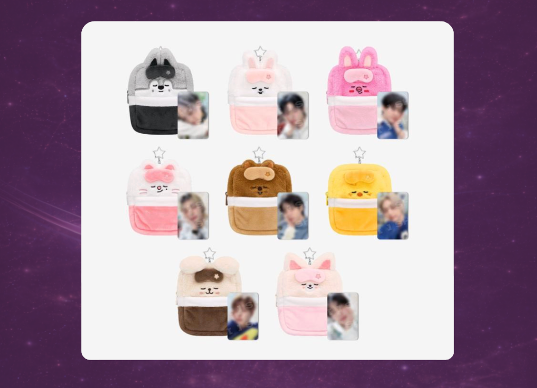 STAY in Our Little House: SKZOO Plush Collect Case