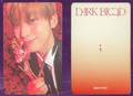Enhypen Dark Blood Photocard Sunoo