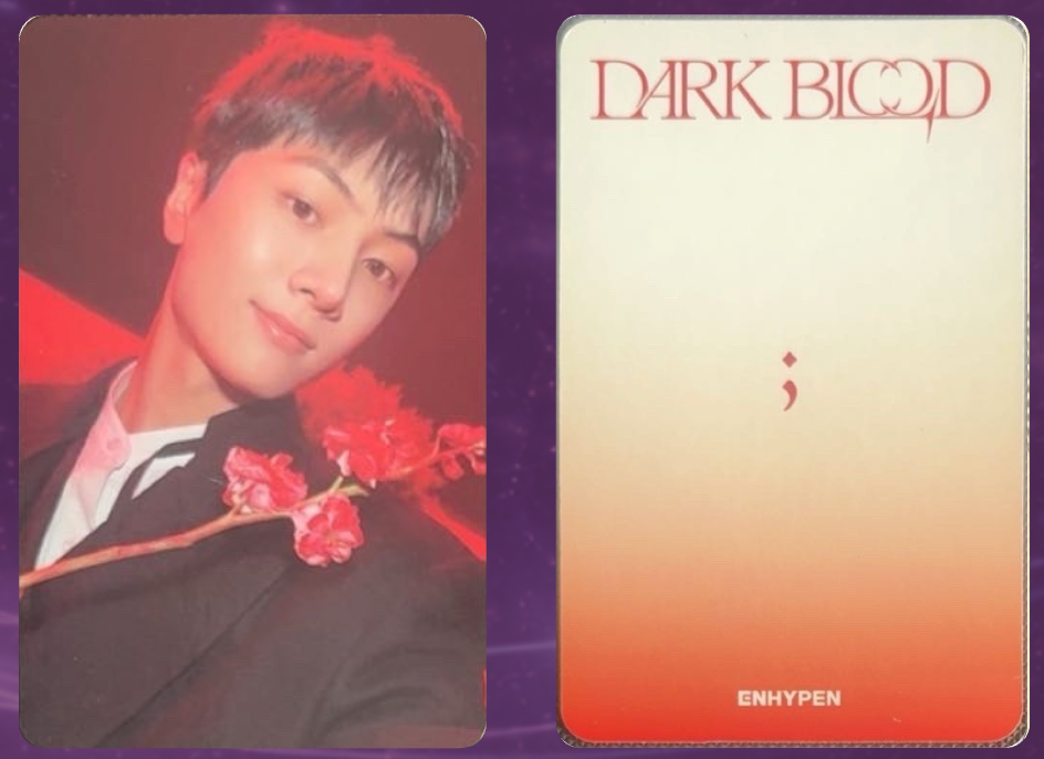 Enhypen Dark Blood Photocard Jay