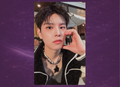Seungmin Do It Evil Skzoo Speaker Photocard (S)