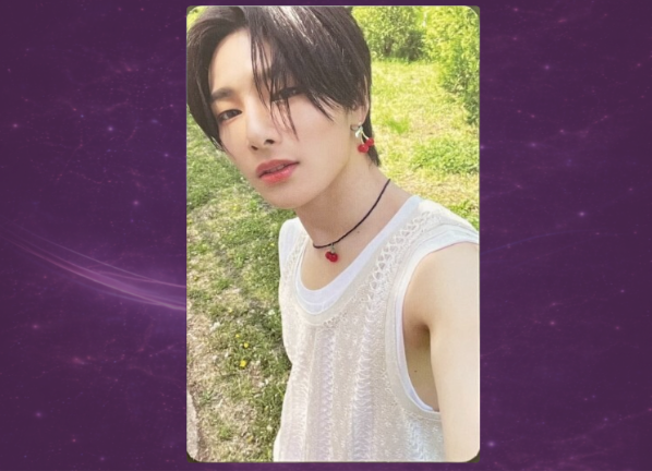 I.N. Maxident Photocard