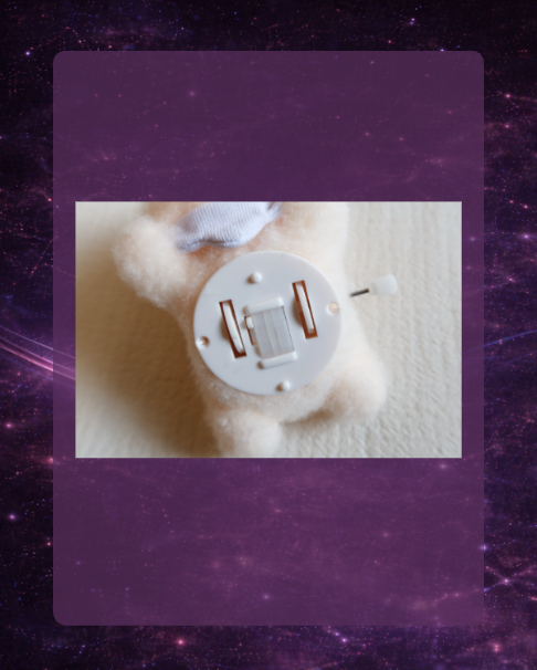 Stray Kids World Tour 'RUN IT': SKZOO Secret Wind-up Plush