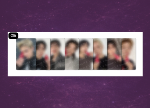 Stray Kids This&That POB (Fans)