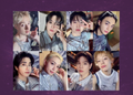 Stray Kids This&That POB (MusicPlant)