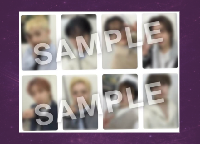 Stray Kids Run It Tour - Japanese Exclusive Photocard