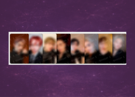 Stray Kids This&That Fans LD Photocard
