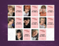 Stray Kids This&That POB (Starriver FOSHAN 3.0)