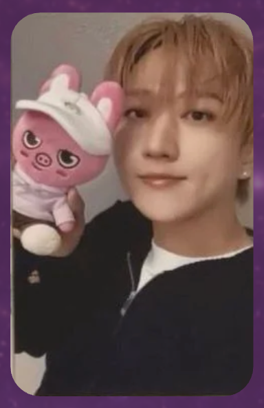 Stray Kids Zootopia 2 x SKZOO POB