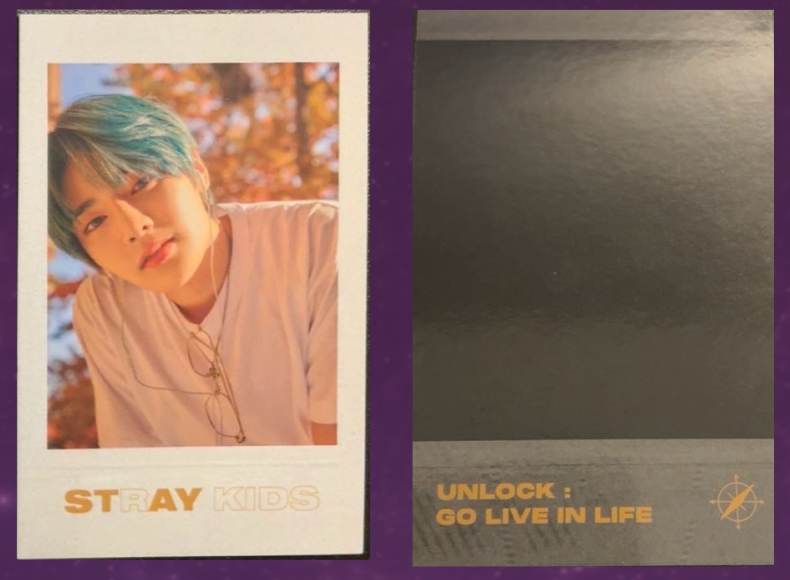 Stray Kids Unlock Go Live In Life Polaroids