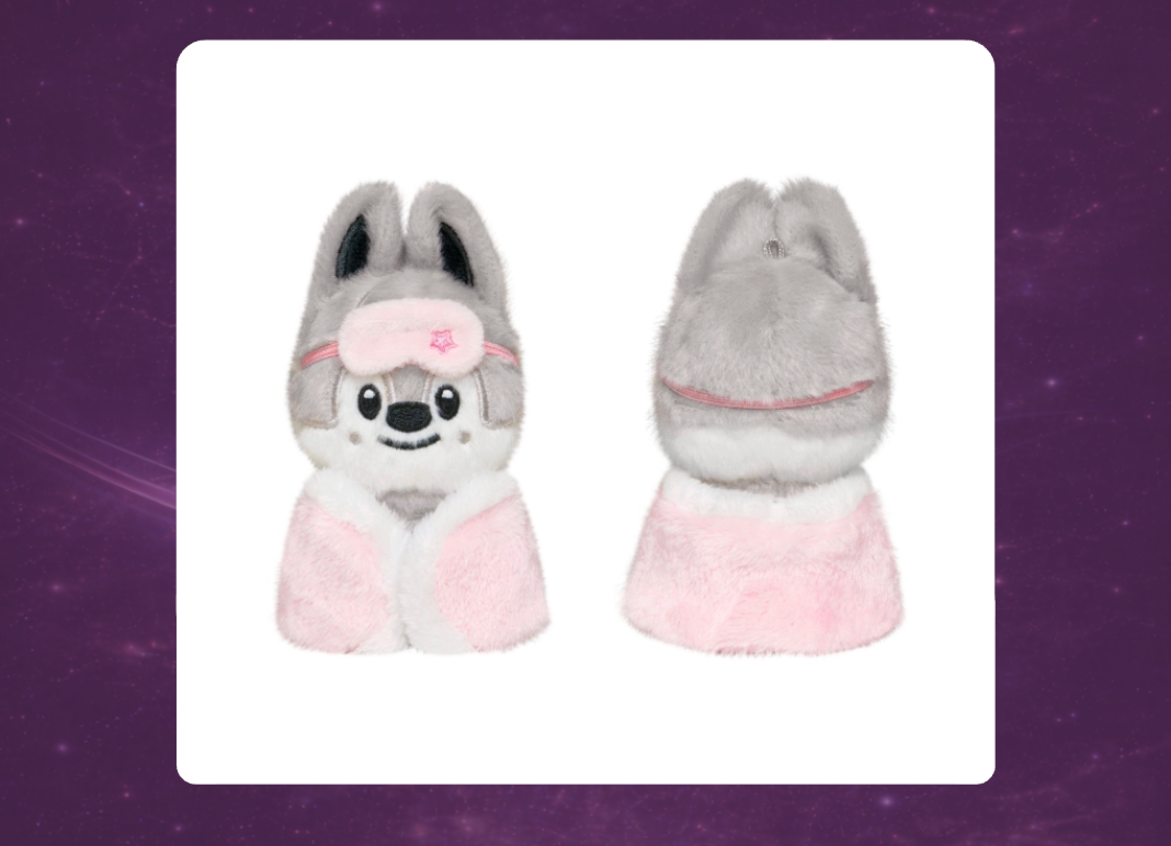 STAY in Our Little House: SKZOO Plush 10cm Version