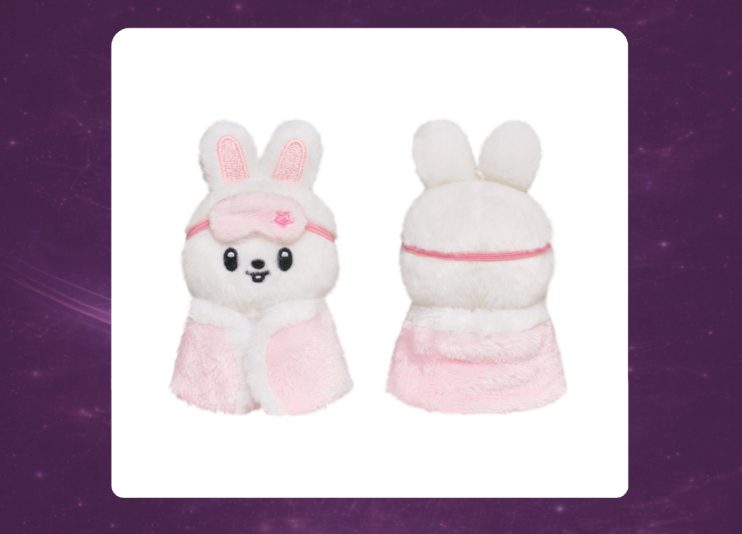 STAY in Our Little House: SKZOO Plush 10cm Version