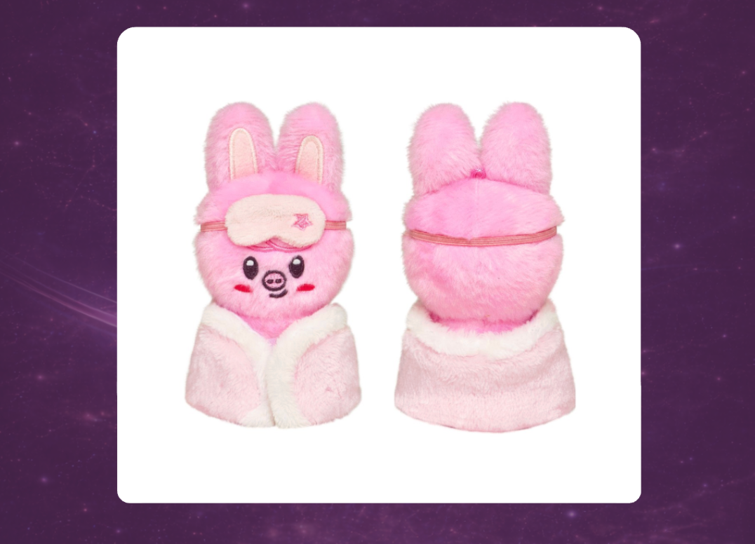 STAY in Our Little House: SKZOO Plush 10cm Version