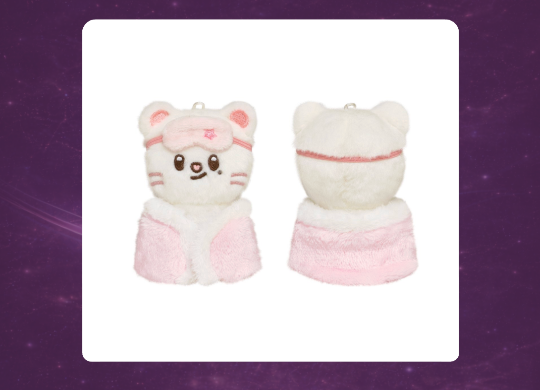 STAY in Our Little House: SKZOO Plush 10cm Version