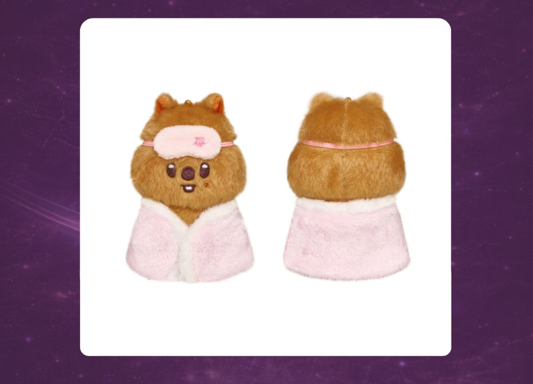 STAY in Our Little House: SKZOO Plush 10cm Version