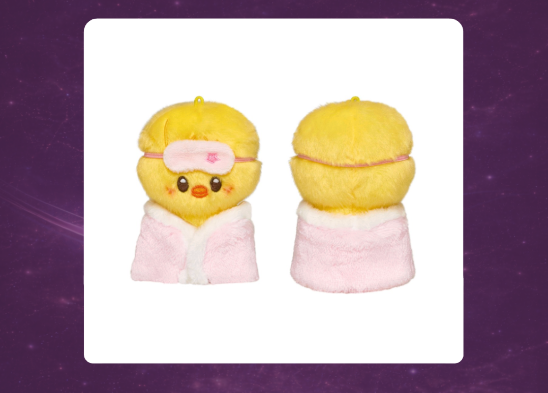 STAY in Our Little House: SKZOO Plush 10cm Version