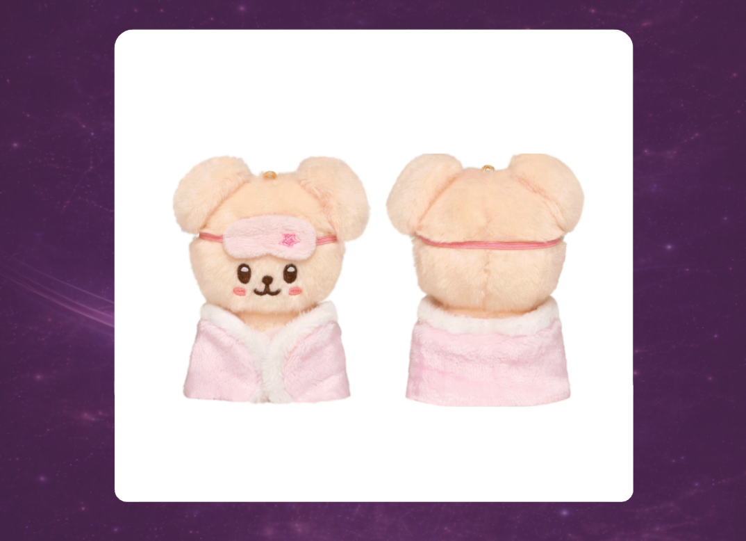 STAY in Our Little House: SKZOO Plush 10cm Version