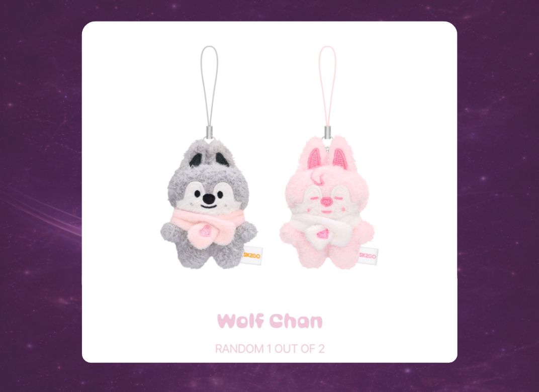 STAY in Our Little House: SKZOO Secret Plush Micro Version