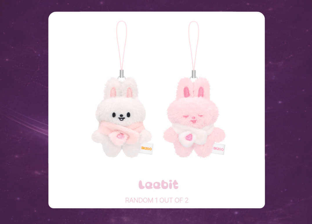 STAY in Our Little House: SKZOO Secret Plush Micro Version