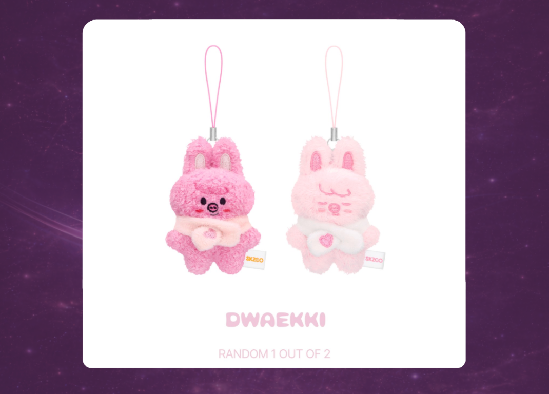 STAY in Our Little House: SKZOO Secret Plush Micro Version