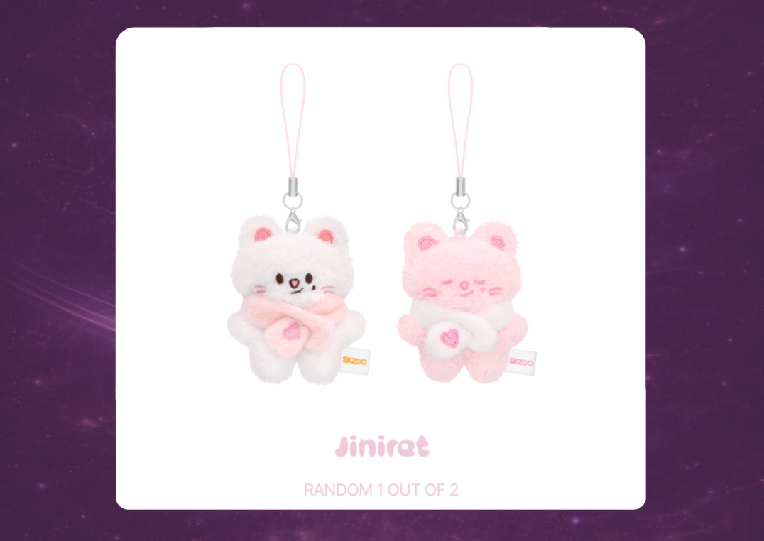 STAY in Our Little House: SKZOO Secret Plush Micro Version