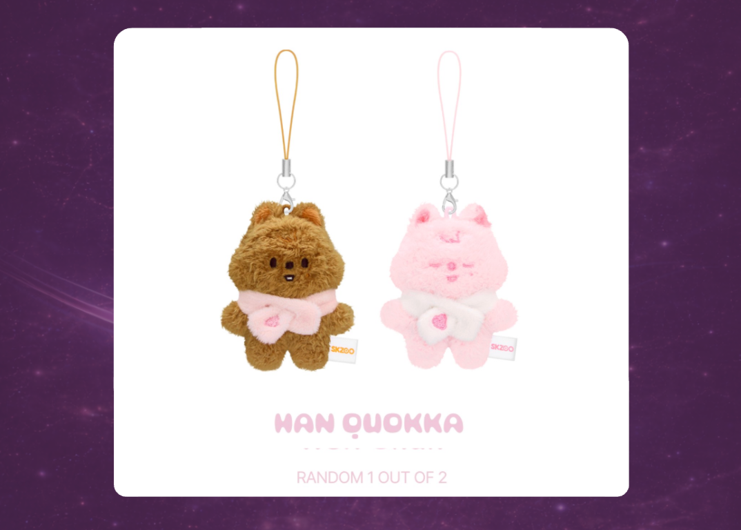 STAY in Our Little House: SKZOO Secret Plush Micro Version