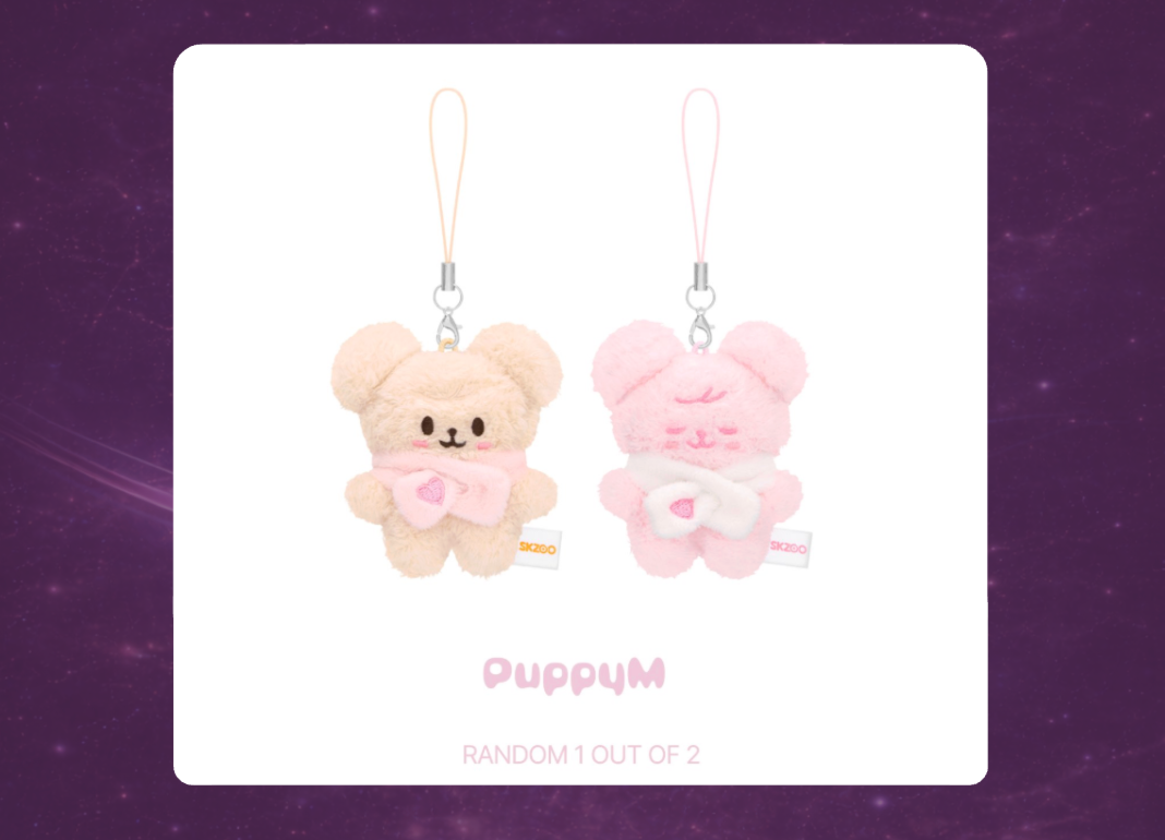 STAY in Our Little House: SKZOO Secret Plush Micro Version