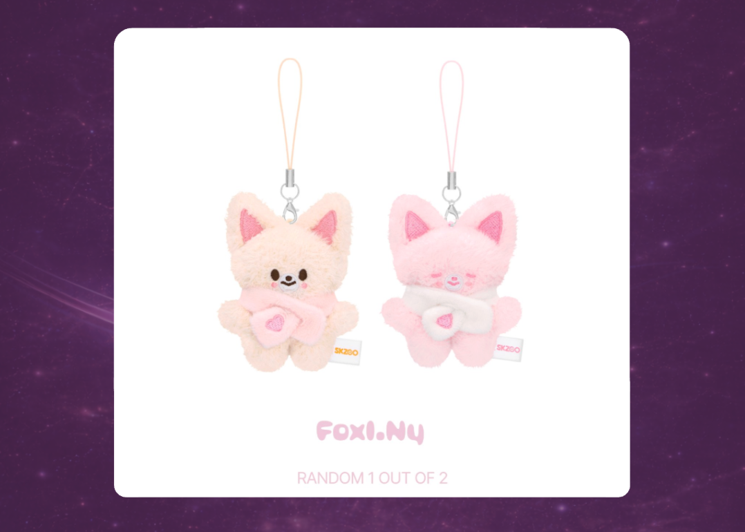 STAY in Our Little House: SKZOO Secret Plush Micro Version