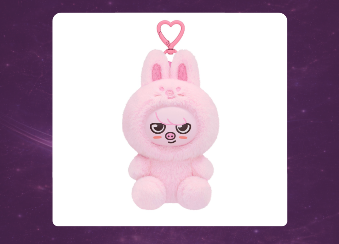 STAY in Our Little House: SKZOO Plush Toy Version