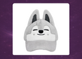 STAY in Our Little House: SKZOO Plush Cap