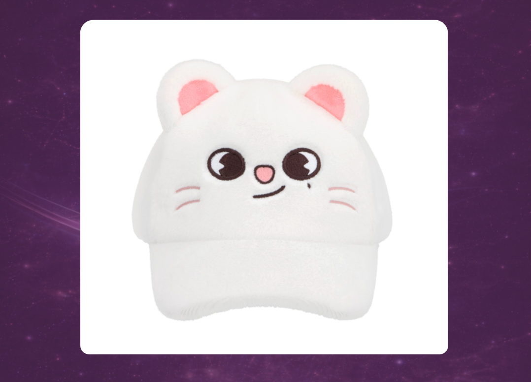 STAY in Our Little House: SKZOO Plush Cap