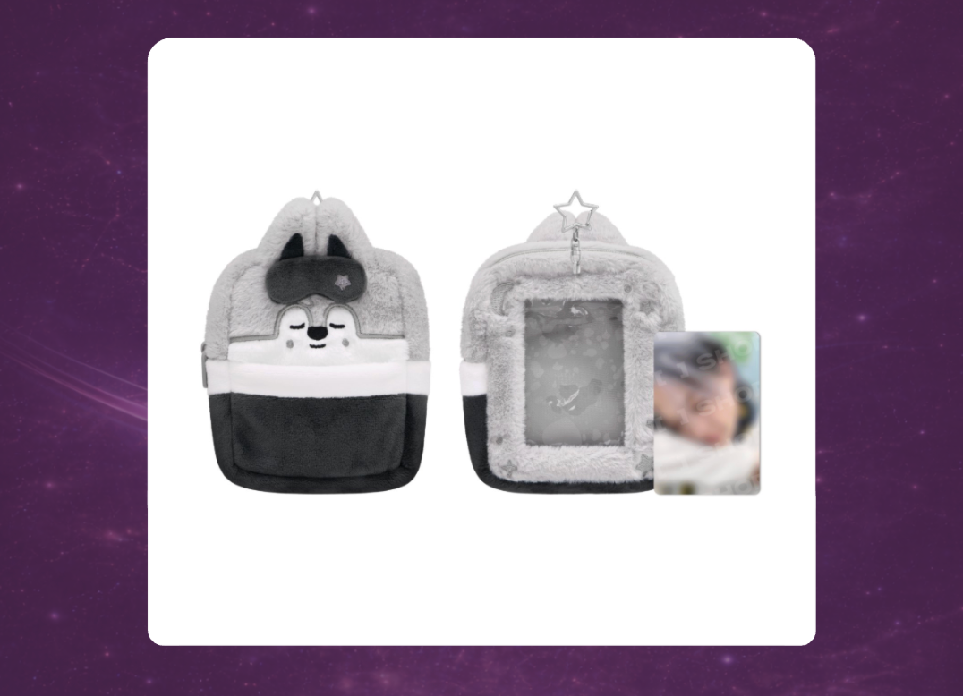 STAY in Our Little House: SKZOO Plush Collect Case