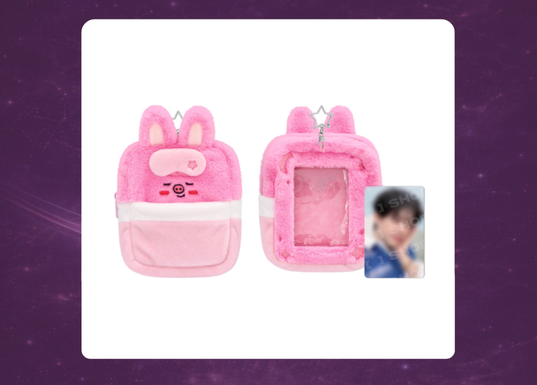 STAY in Our Little House: SKZOO Plush Collect Case